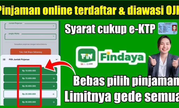 Pinjaman Online Findaya Solusi Dana Cepat yang Aman dan Terpercaya